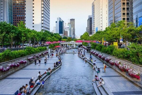 Seoul : Euljiro Gastroventure Tour - Accessibility and Restrictions