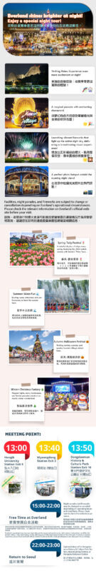 Seoul Everland Moonlight Parade Day Tour with Transfers - Afternoon admission makes this a focused visit