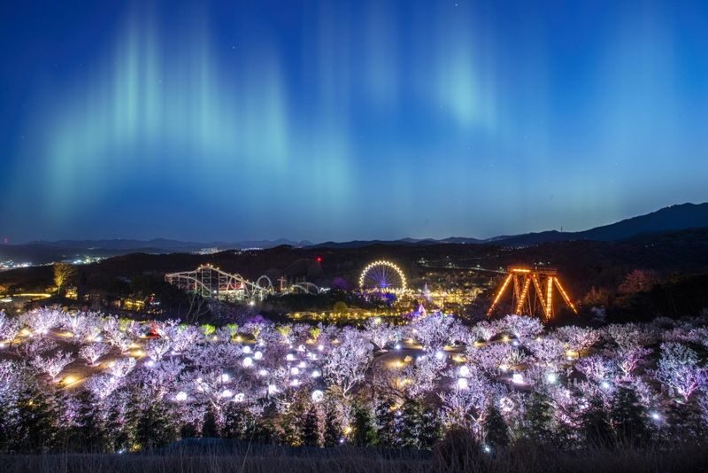Seoul Everland Moonlight Parade Day Tour with Transfers - The driver-guide adds real practical value