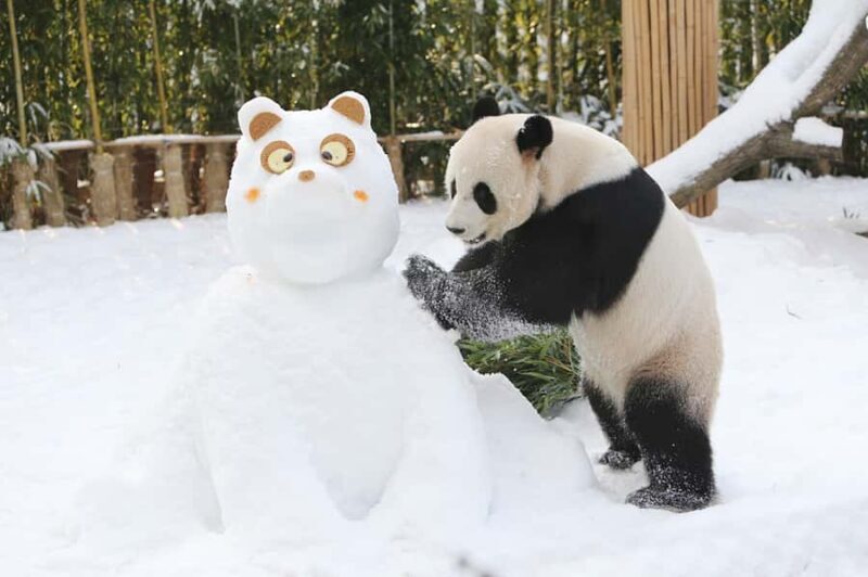 Seoul: Everland Theme Park Round Trip Shuttle Bus - Who Will Love This Tour?