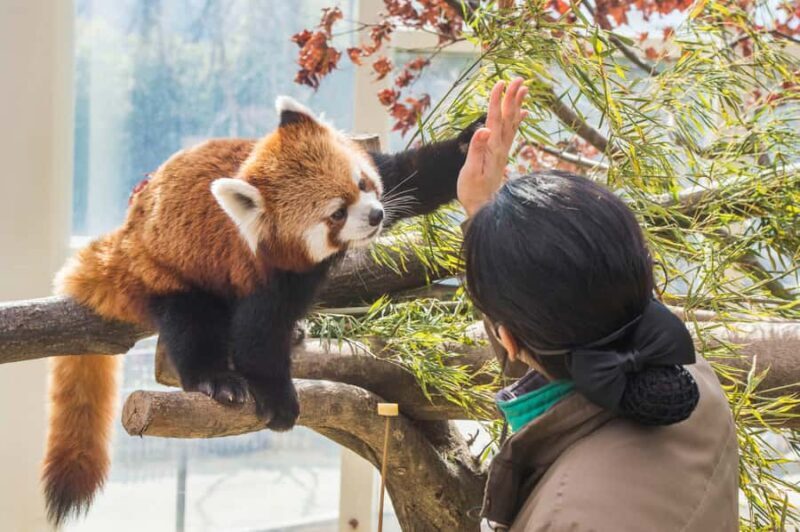 Seoul: Everland Theme Park Round Trip Shuttle Bus - Final Words