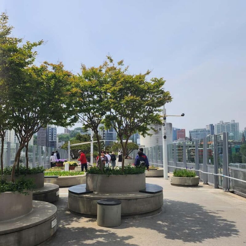 Seoul: Food Tour with 10+ Tastings in the Heart of City - Practical Details and Tips