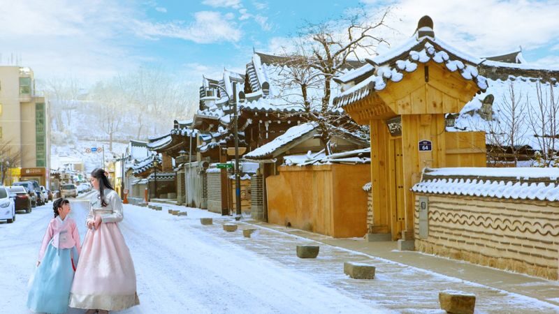 Seoul: Full-day cultural tour to Jeonju Hanok Village - Lunch is your chance to taste Jeonju