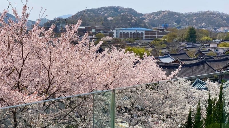 Seoul: Full-day cultural tour to Jeonju Hanok Village - Cultural stops beyond the hanok houses