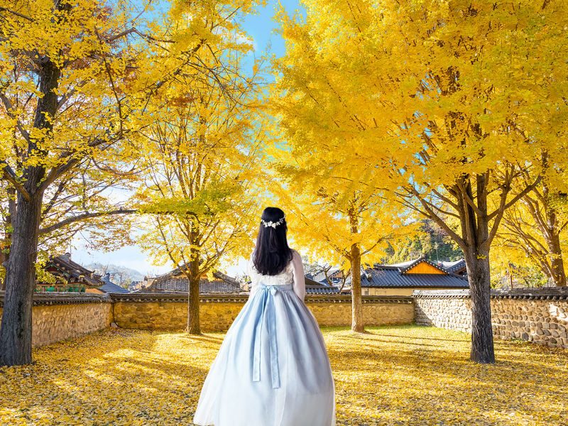 Seoul: Full-day cultural tour to Jeonju Hanok Village - The Seoul-to-Jeonju drive takes real commitment