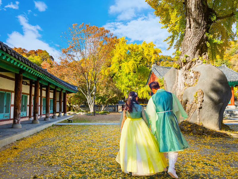 Seoul: Full-day cultural tour to Jeonju Hanok Village - What the price includes, and what it does not
