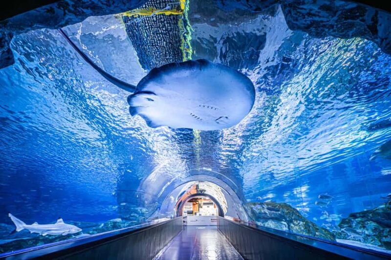 Seoul: Full-Day Stylish Gangnam Tour Guided by Curator - FAQs