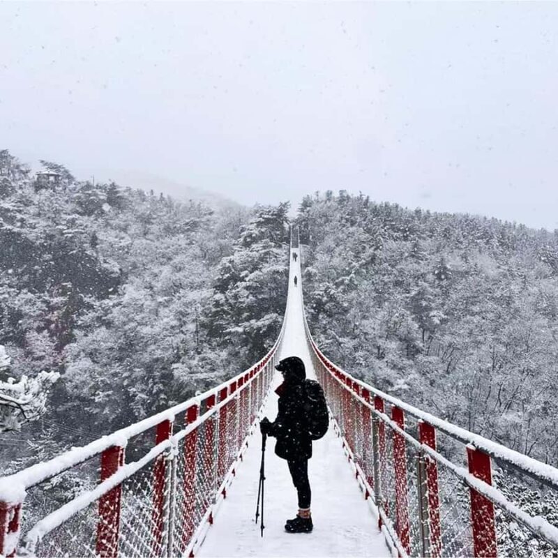 Seoul: Gamaksan, IceWall Cafe, Hanok +Herb Museum/Strawberry - What the Tour Entails: A Detailed Breakdown