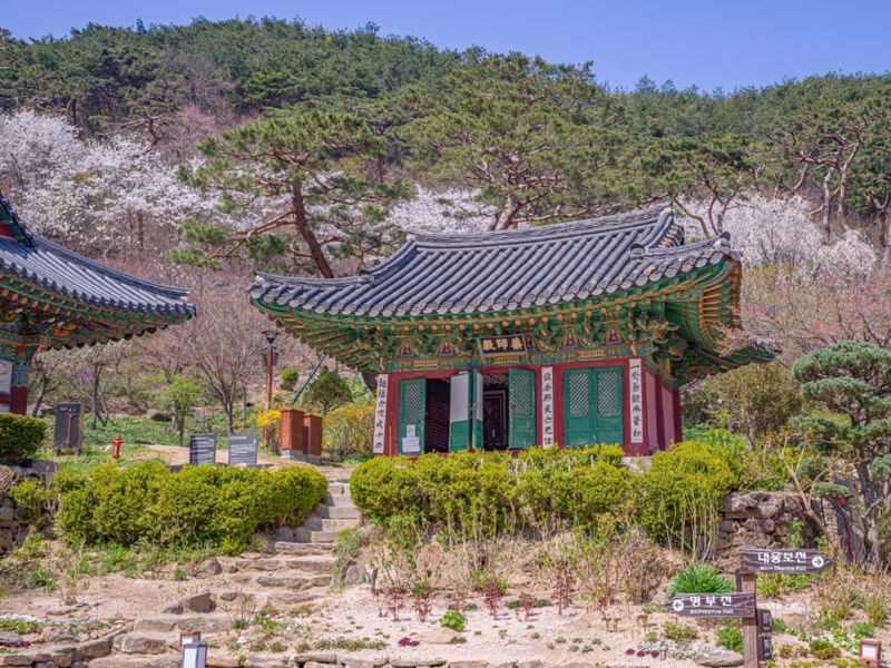 Seoul Ganghwado UNESCO & Historical Private Day Tour - What you get for the price, and what you pay separately