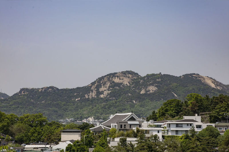 Seoul Gwanghwamun Square Half-Day Small Group Historical Tour - June’s history-first guiding style