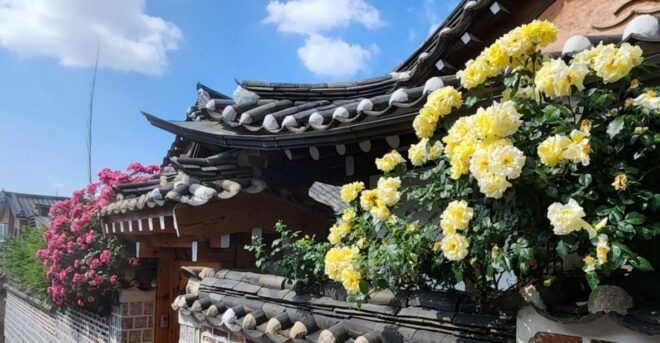 Seoul: Gyeongbok Palace, Bukchon Village, and Gwangjang - Gwangjang Market: A Gastronomic Adventure in Seoul