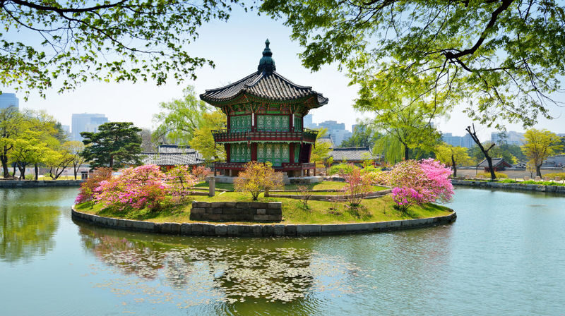 Seoul Gyeongbok Palace Half-Day Small Group Tour - Tongin Market makes lunch part of the outing