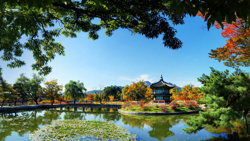 Seoul Gyeongbok Palace Half-Day Small Group Tour - Seochon may be part of a different version