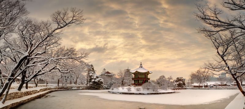 Seoul Gyeongbok Palace Half-Day Small Group Tour - Is $66.65 good value?