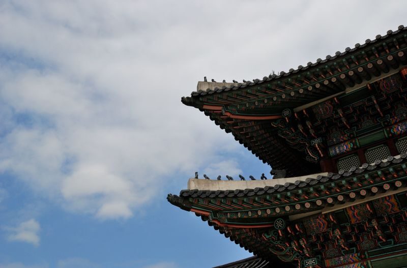 Seoul Gyeongbokgung & N Seoul Tower Full-Day Guided Tour - Guides help the day run smoothly