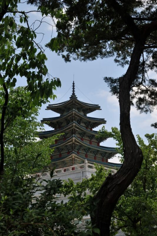 Seoul Gyeongbokgung & N Seoul Tower Full-Day Guided Tour - Booking and cancellation details to check