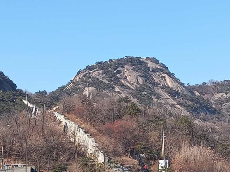 Seoul: Gyeongbokgung palace and Inwangsan Mt. Hiking Tour - Who Will Love This Tour?