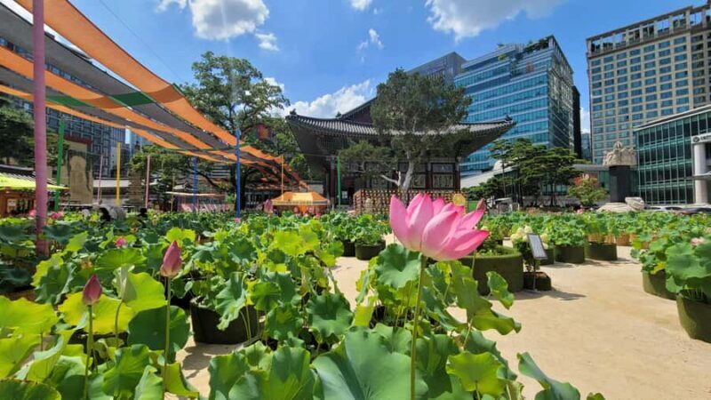 Seoul: Gyeongbokgung Palace, Jogyesa Temple, Bukchon Village - Final Thoughts