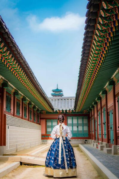 Seoul: Gyeongbokgung Palace Tour & Lunch at Authentic Market - Inclusions for a Perfect Tour