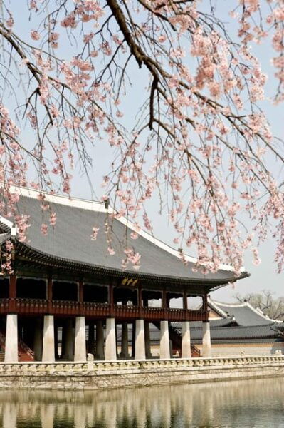 Seoul: Gyeongbokgung Palace Tour & Lunch at Authentic Market - Booking and Cancellation Policies