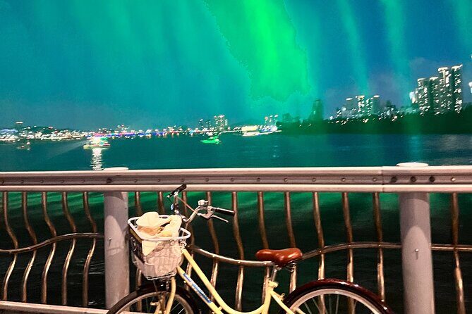 Seoul Han River Sunset Bike Tour with Rainbow Fountain Show - Who Should Consider This Tour