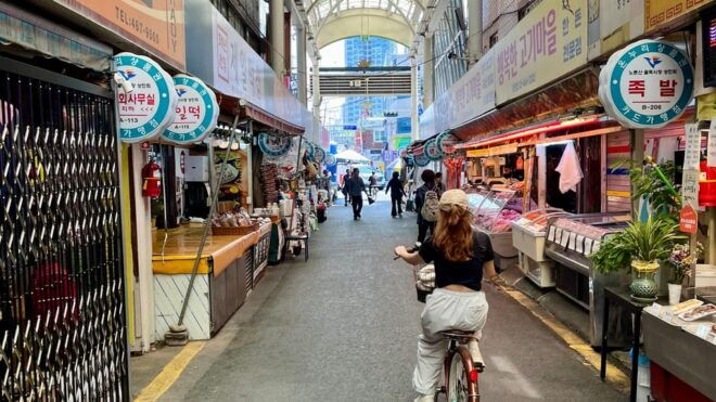 Seoul: Han River Urban Nature Bike Tour - Morning Vs Evening Tours