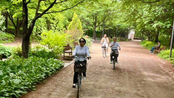 Seoul: Han River Urban Nature Bike Tour - Bicycle Rental Details