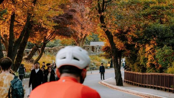 Seoul: Han River Urban Nature Bike Tour - Customer Experiences