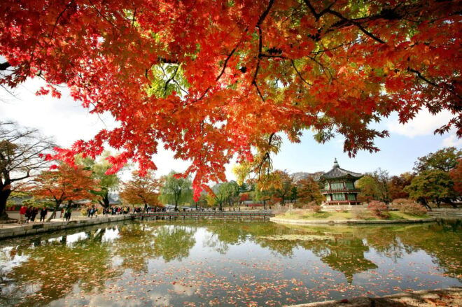 Seoul: Hanbok, Gyeongbokgung and Tongin Market Walking Tour - Gwanghwamun Square Experience