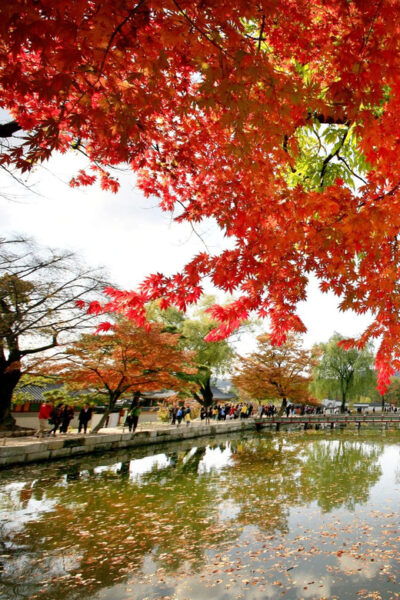 Seoul: Hanbok, Gyeongbokgung and Tongin Market Walking Tour - Questions You May Have