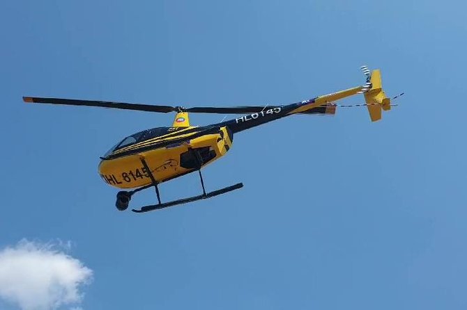 Seoul Helicopter Tour - Tour Details