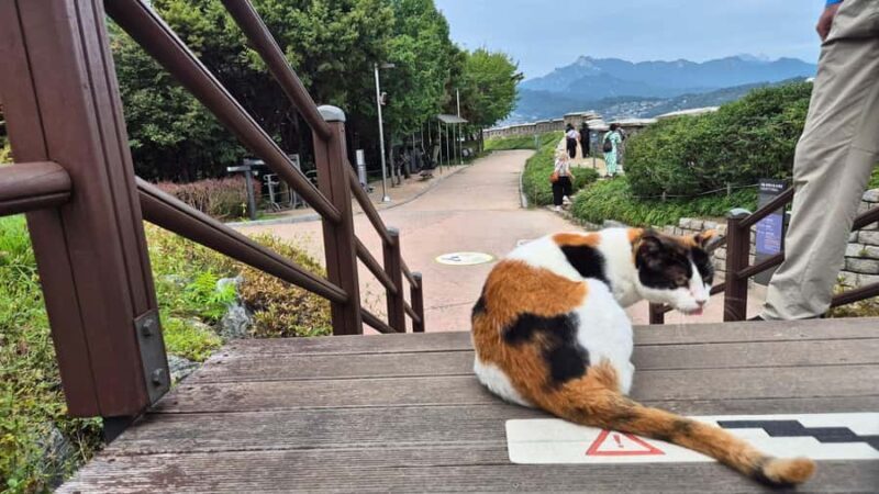 Seoul Hidden Gem Walk: Private, Local & Relaxed - The Final Leg: Views over Naksan Park and a Dynamic End