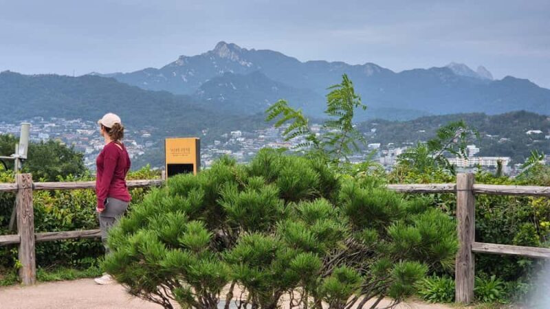 Seoul Hidden Gem Walk: Private, Local & Relaxed - FAQ