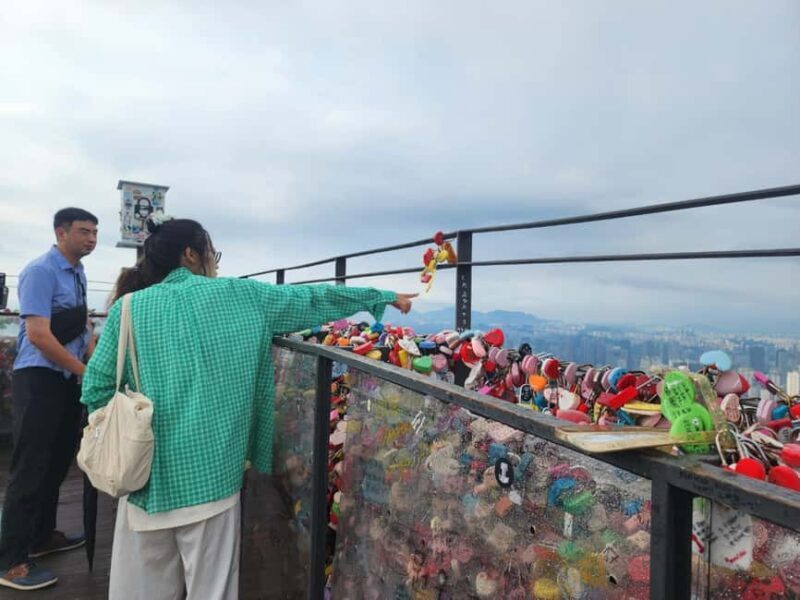 Seoul: Highlights of Seoul Half-Day Tour - Who Should Take This Tour?