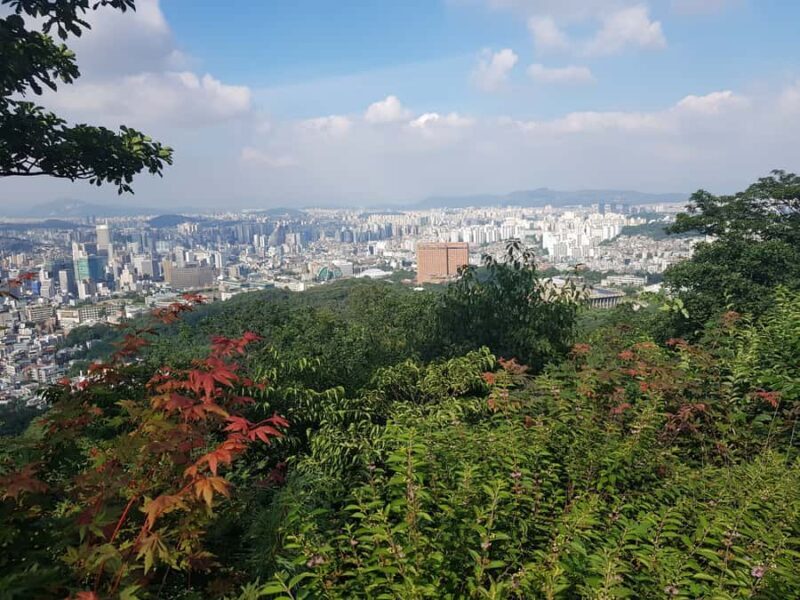 Seoul: Hiking Tour to Namsan Mountain Panoramic Viewpoints - An In-Depth Look at the Namsan Mountain Hiking Tour