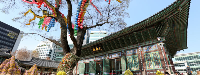 Seoul Historic Walking Tour - What to know before you book