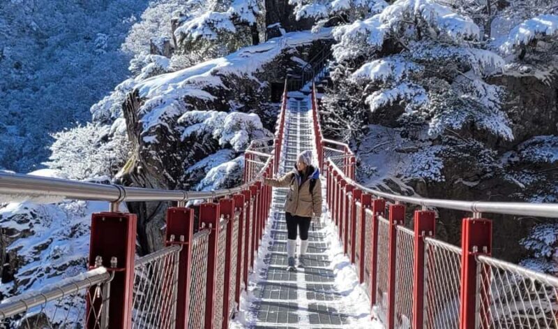 Seoul: Jeonju Hanok Village & Daedunsan Snowy Nature Tour - A Deep Dive into the Tour Experience