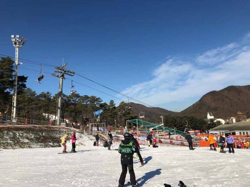 Seoul: Jisan Forest Ski Resort and Everland 1 Day Tour - Good To Know