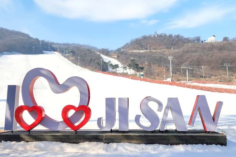 Seoul: Jisan Forest Ski Resort and Everland 1 Day Tour - Final Thoughts