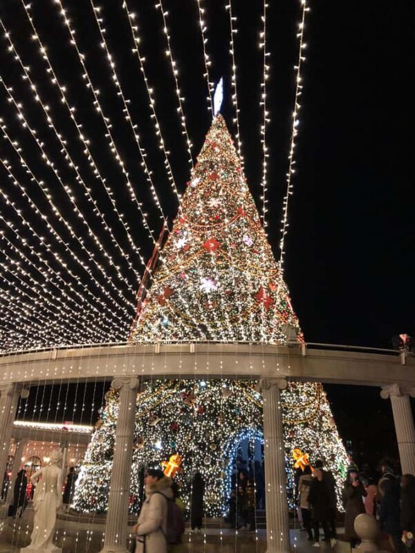 Seoul: Jisan Forest Ski Resort and Everland 1 Day Tour - FAQ