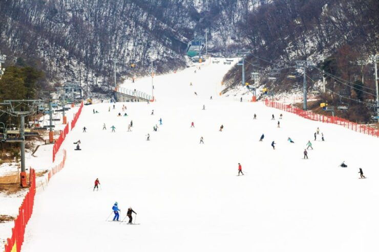 Seoul: Jisan Forest Ski Resort Day Trip (Transfers/ Lesson) - Activity Details