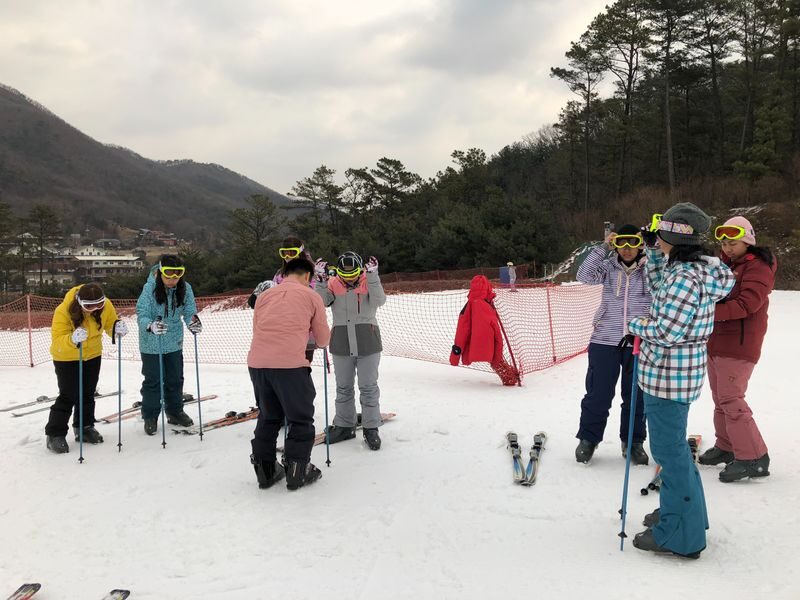 Seoul Jisan Forest Ski Resort Full-Day Ski Tour with Transfers - Snow conditions and venue changes deserve a check