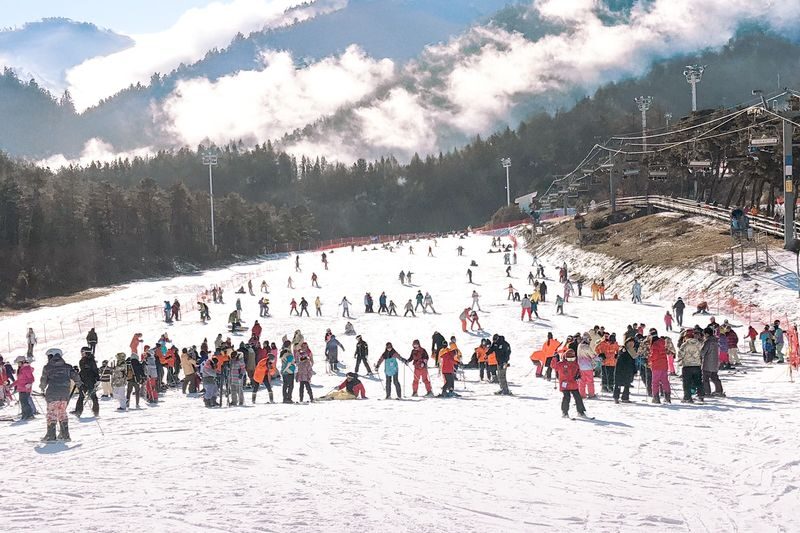 Seoul Jisan Forest Ski Resort Full-Day Ski Tour with Transfers - What the starting price buys you