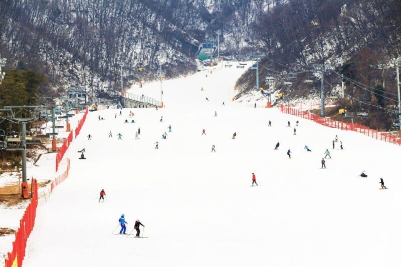 Seoul: Jisan Forest Winter Ski Day Tour with Basic Lesson - Good To Know