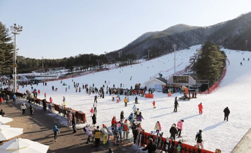 Seoul: Jisan Forest Winter Ski Day Tour with Basic Lesson - FAQ