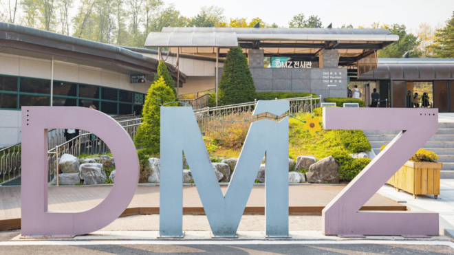 Seoul Korea 7 Day Family Tour Lotte World Everland DMZ - Day 6: Everland Experience