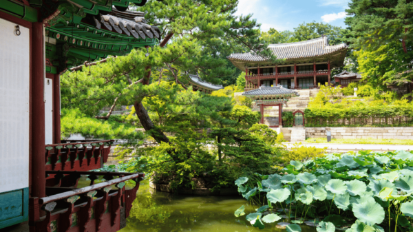 Seoul Korea 7 Day Family Tour Lotte World Everland DMZ - Important Travel Information