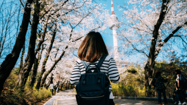 Seoul Korea 7 Day Sightseeing Tour Shopping & Street Food - Travel Flexibility Options