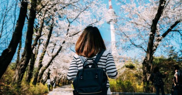Seoul Korea 7 Day Sightseeing Tour Shopping & Street Food - Questions You May Have