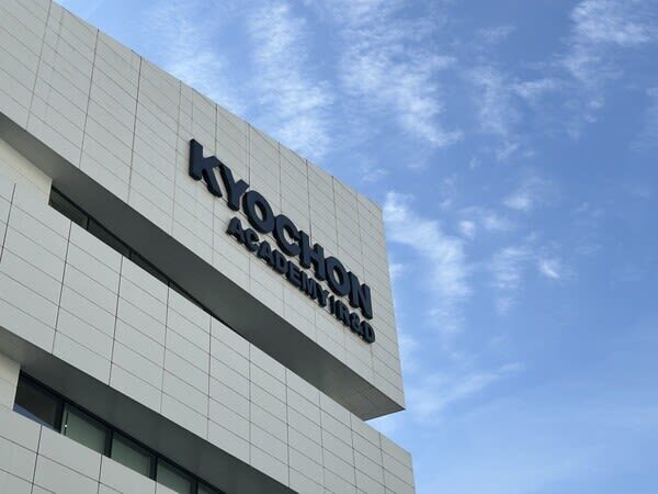 Seoul Kyochon Chicken Half-Day Experience with DIY Session - A chicken tour with a clear purpose